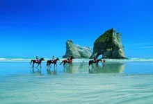 The-15-best-beaches-in-New-Zealand-in-2024-godidico-jpg.webp