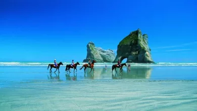 The-15-best-beaches-in-New-Zealand-in-2024-godidico-jpg.webp